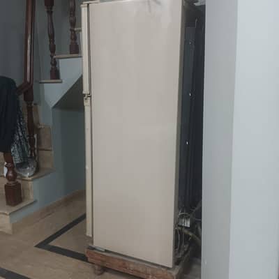Frige nd freezer 03424340922