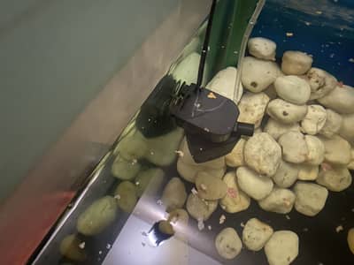 Fish aquarium for sale urgently