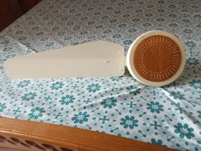 7 Ceiling fans,Asia