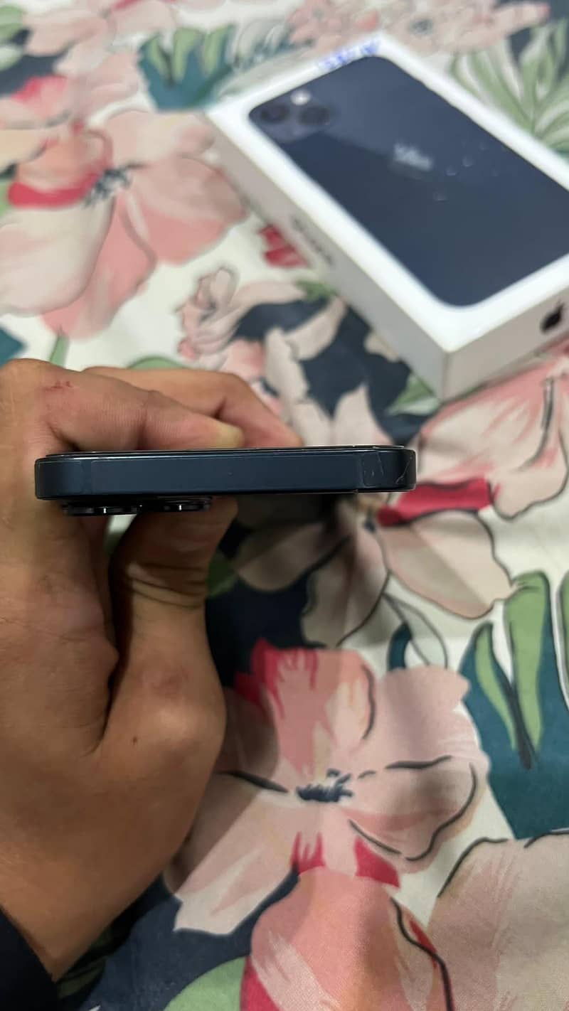 Apple iPhone 13 12