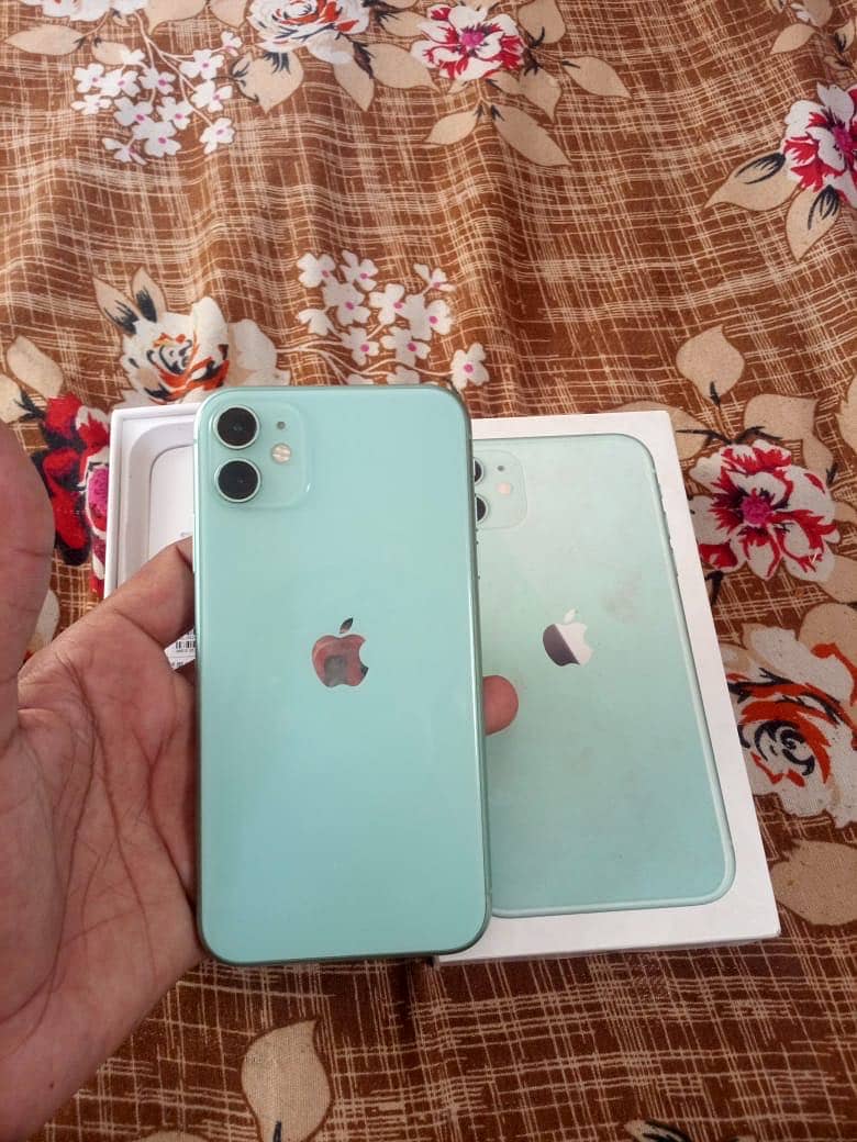 Apple iPhone 11 1