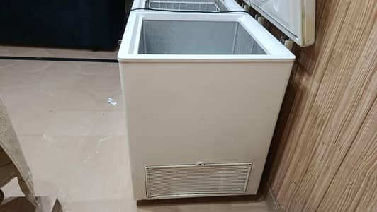 deepfreeze double door