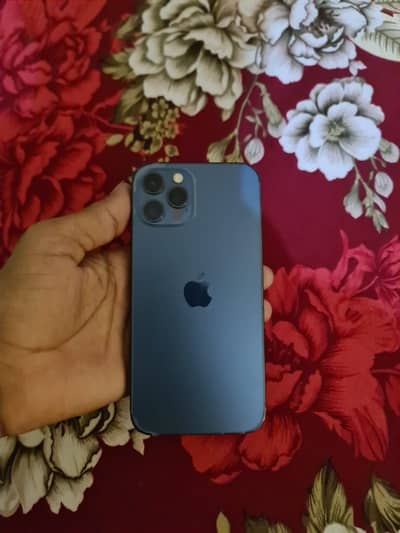 iPhone 12 pro