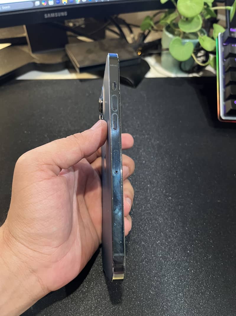 12 Pro Max 4