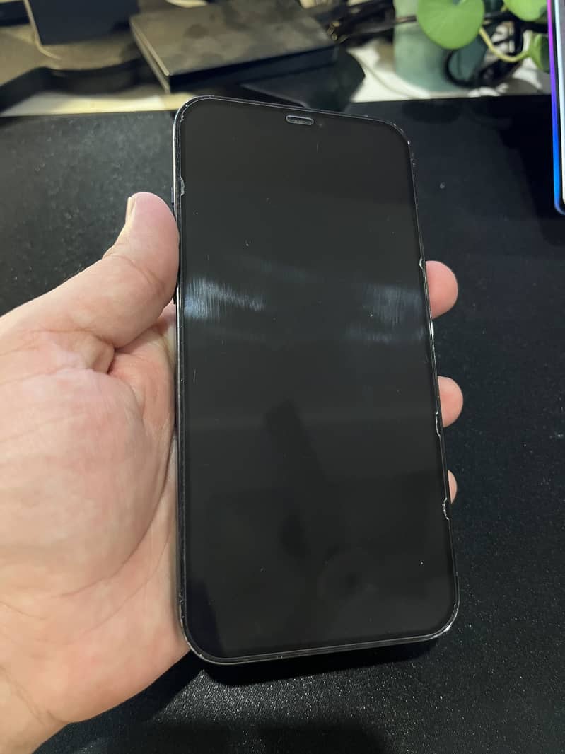 12 Pro Max 6