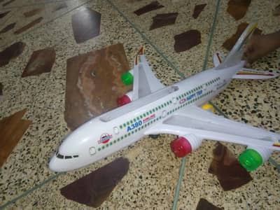 Airplane VIP condition