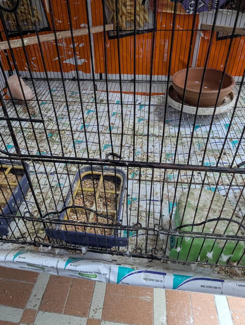 Master Cage 5