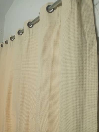 one curtain
