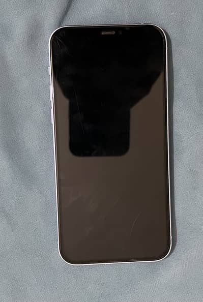 Apple iPhone 12 – Original Panel – Back Glass Damaged
