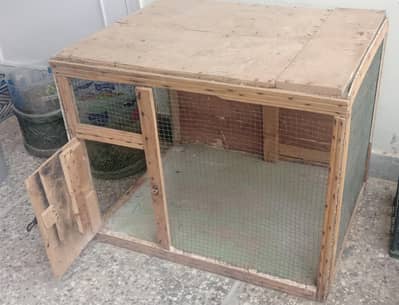 Hens Cage
