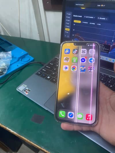 Apple iPhone 13 Pro Max