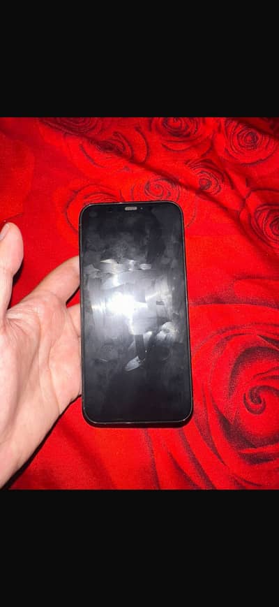 12 pro dual sim pta approved