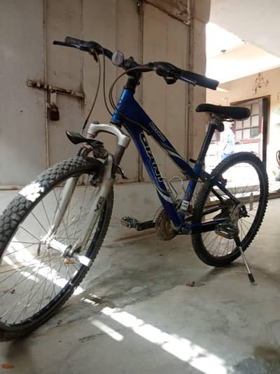 GIANT BICYCLE