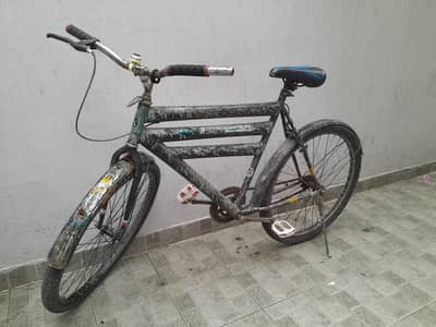 22 inches cycle