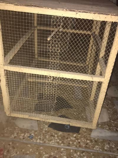 Wooden big size cage for sale