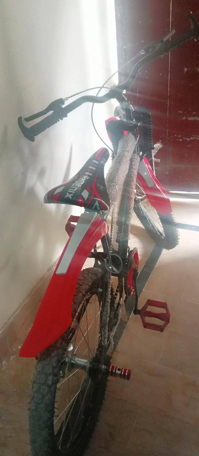 Cycle 2