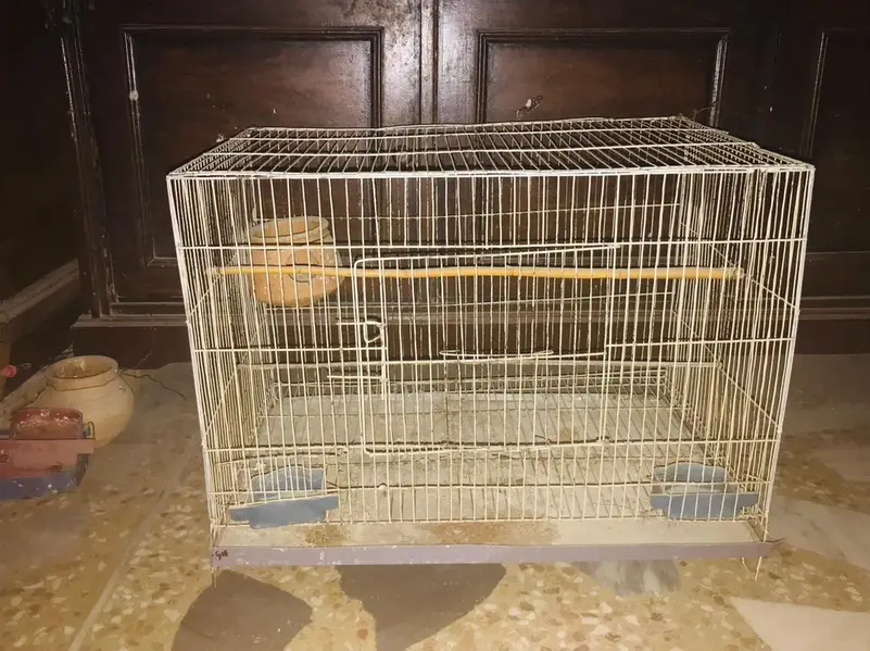 Parrots cage for sale