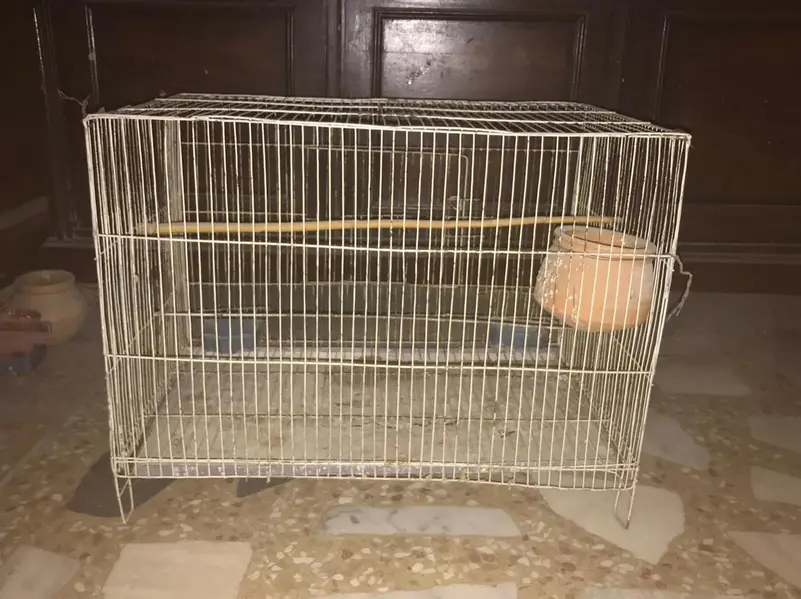 Parrots cage for sale — photo 2