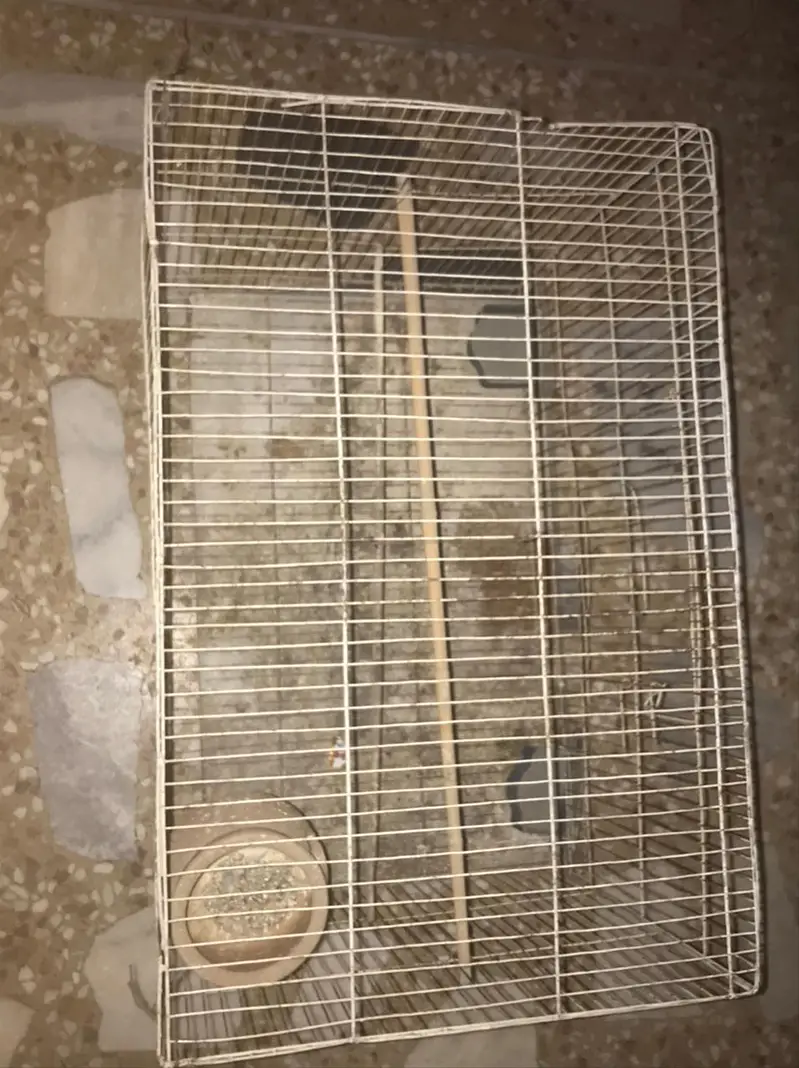 Parrots cage for sale — photo 3