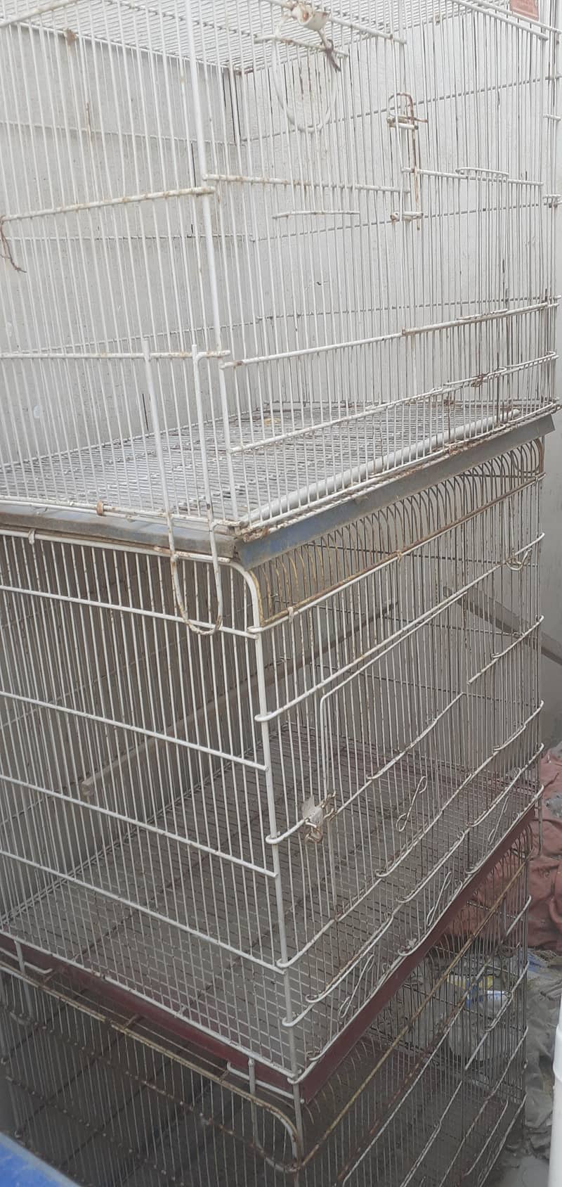 cages 2