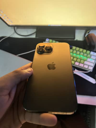 Apple iPhone 13 Pro Max