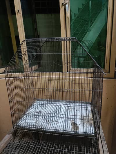 pingra for sale 03220840723