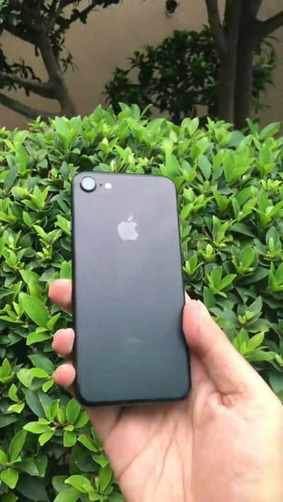 Apple iPhone 7