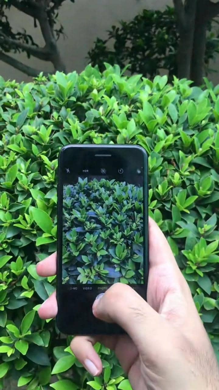 Apple iPhone 7 3