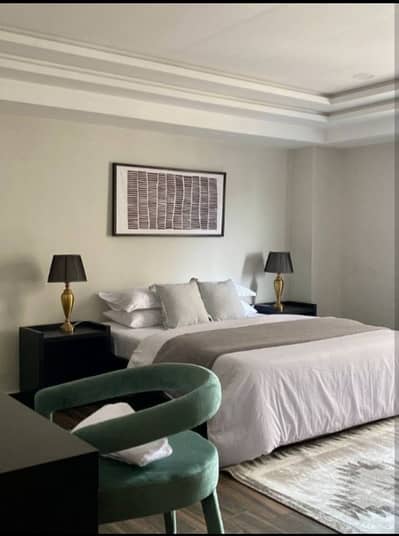 One bed luxury furnished apartment for per day rent