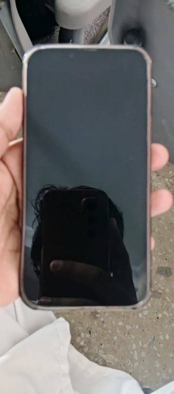 Apple iPhone 13 Pro Max 0