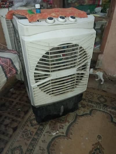 Aircoler hai Super Pel