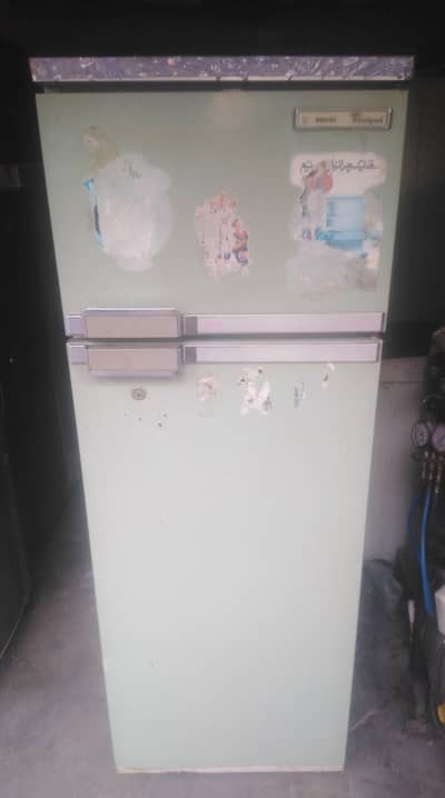 FILAPS FRIDGE