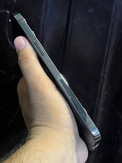 Apple iPhone 12 Pro Max