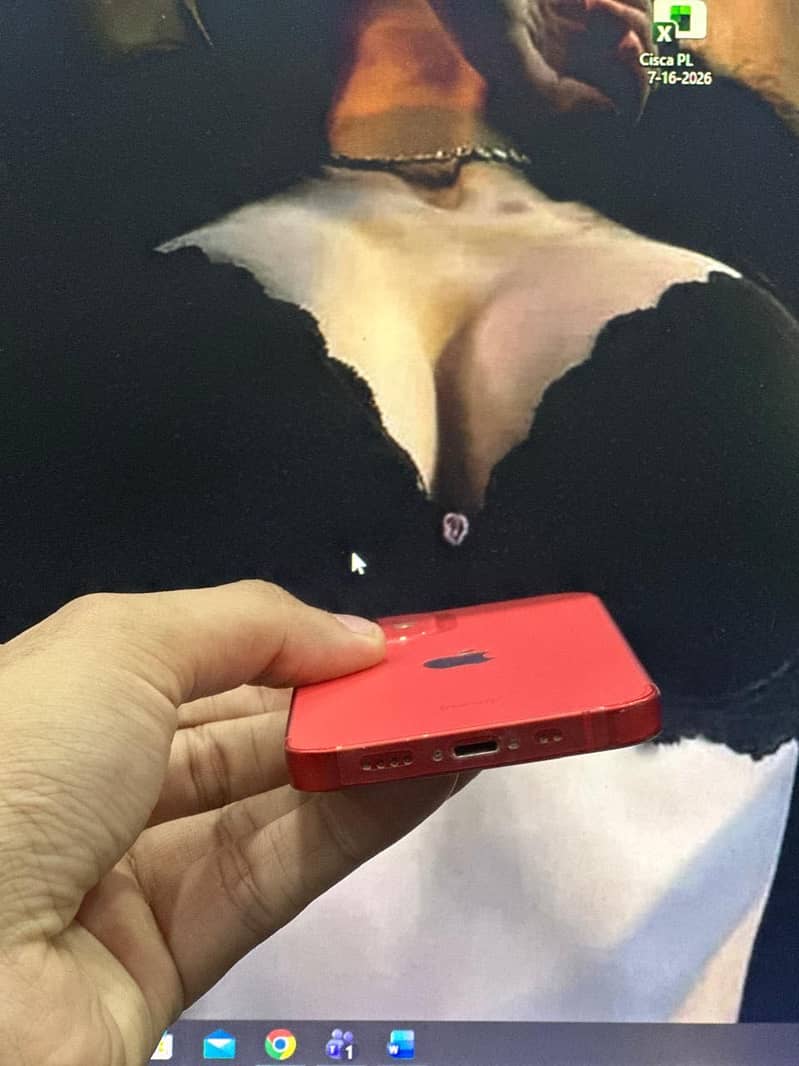 Apple iPhone 12 mini 4