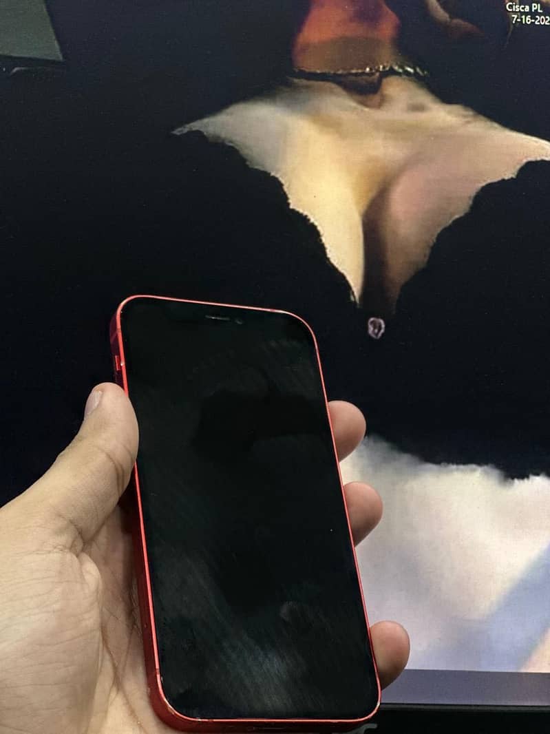 Apple iPhone 12 mini 5