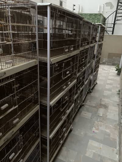 cages for sale