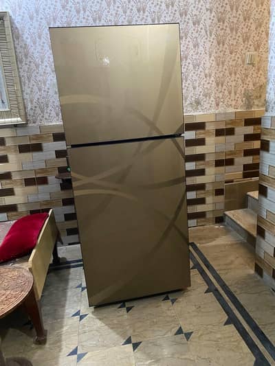 pel 2022 model refrigerator gold colour jumbo size