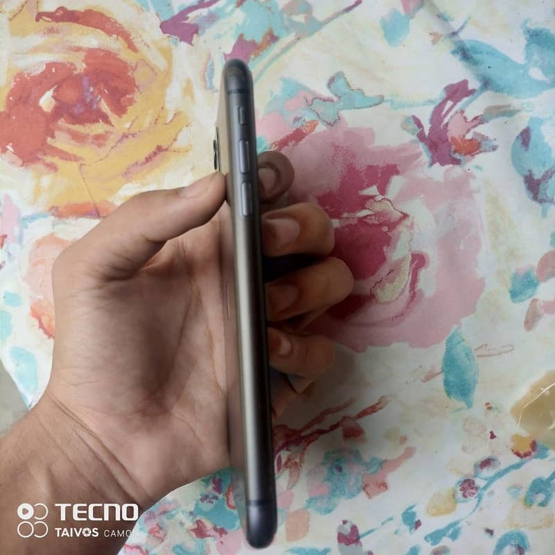 Apple iPhone 11 3
