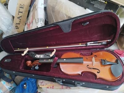 Violin Dalking SV012W With complete accessories