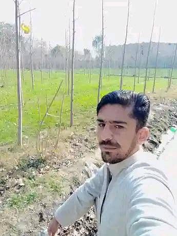 I need cook job my location Islamabad   I 10