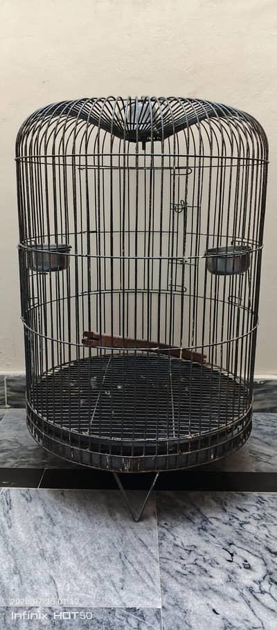 Raw Gray Parrot Cage