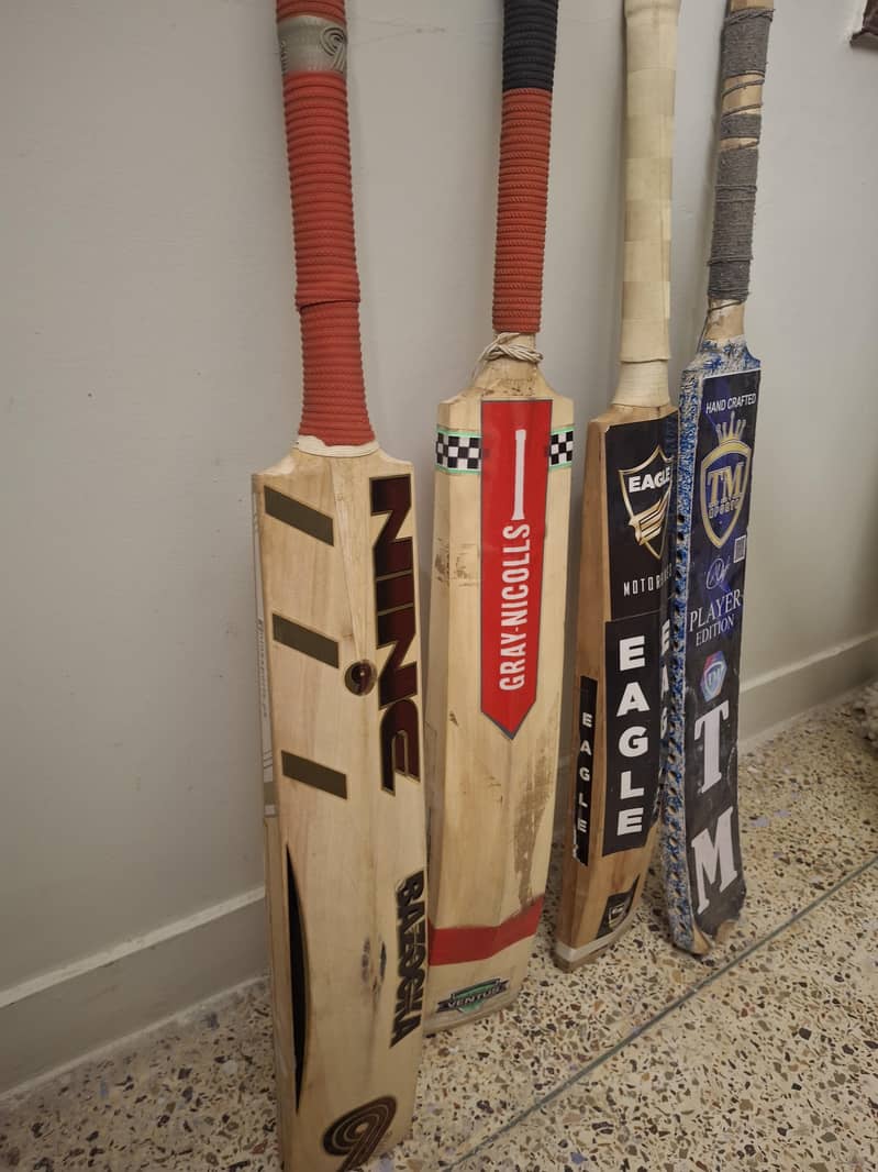 cricket kit 3