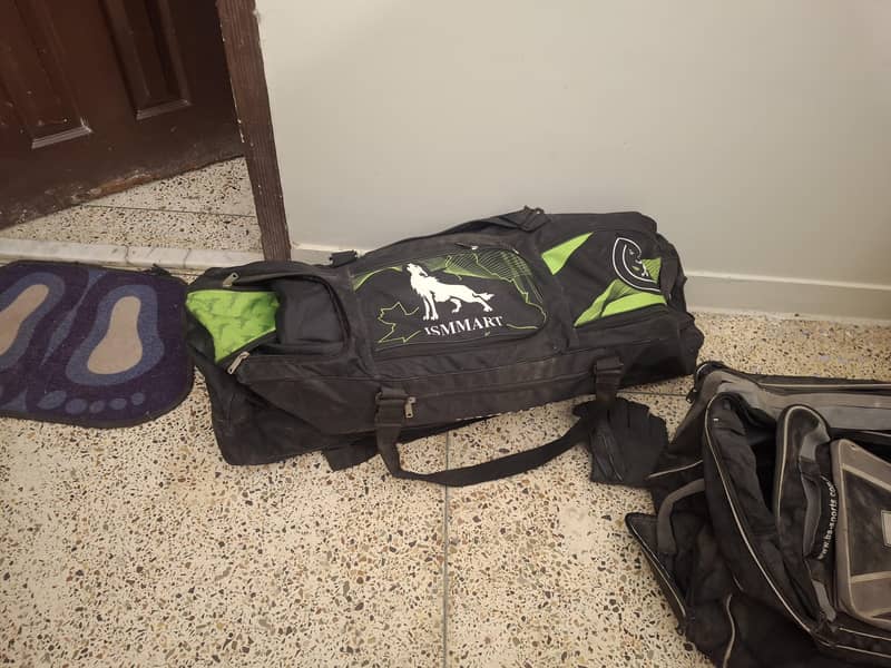 cricket kit 5