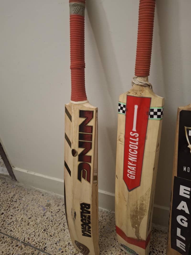 cricket kit 6