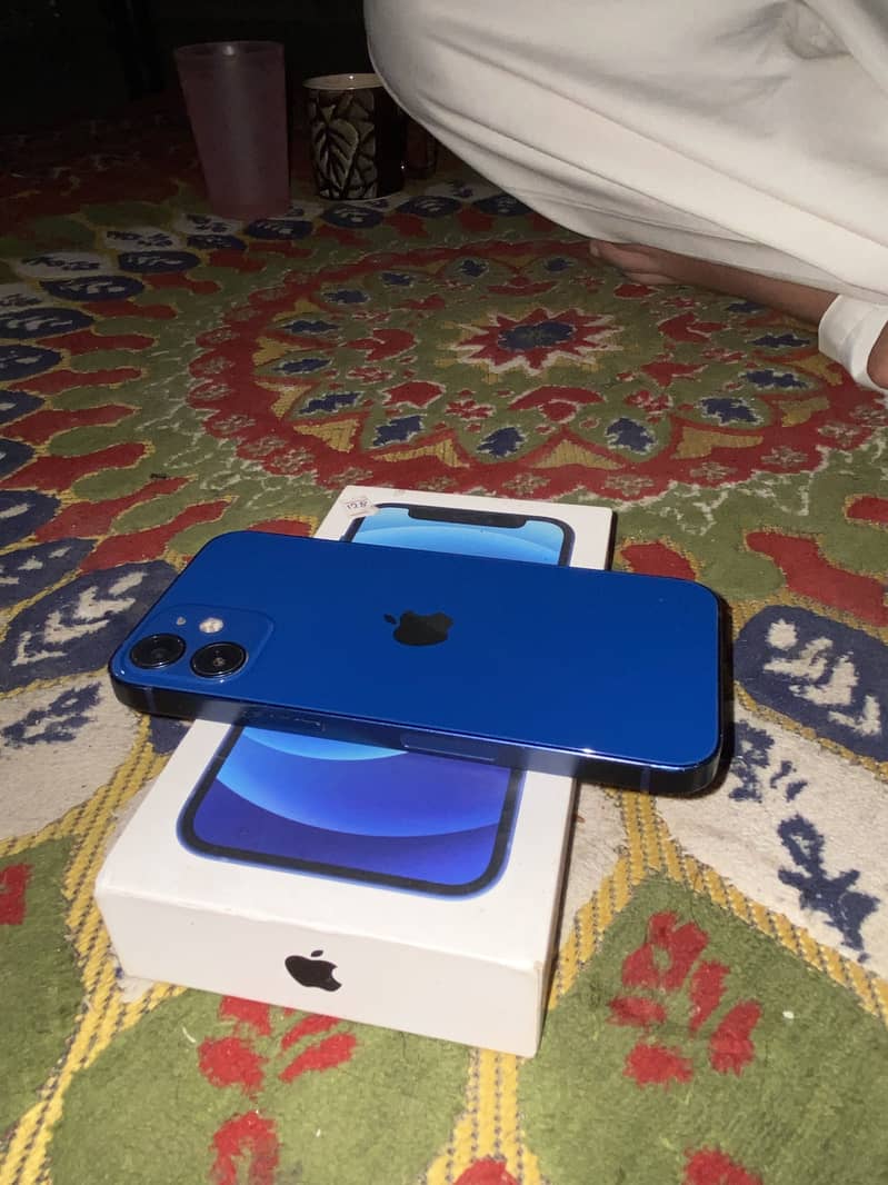 Apple iPhone 12 mini 0