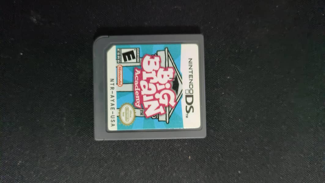 Nintendo DS 13