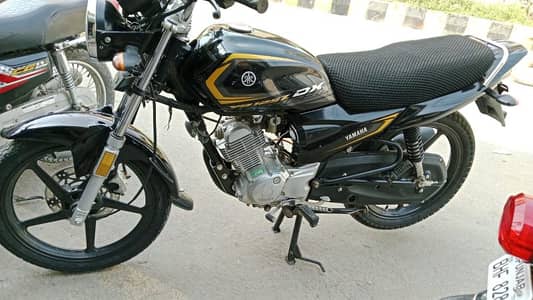 yb 125z dx  all ok lush condition 2024 kay 10 month ki hai