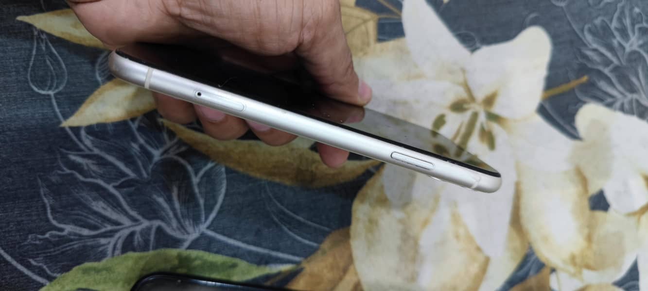 iPhone 11 2