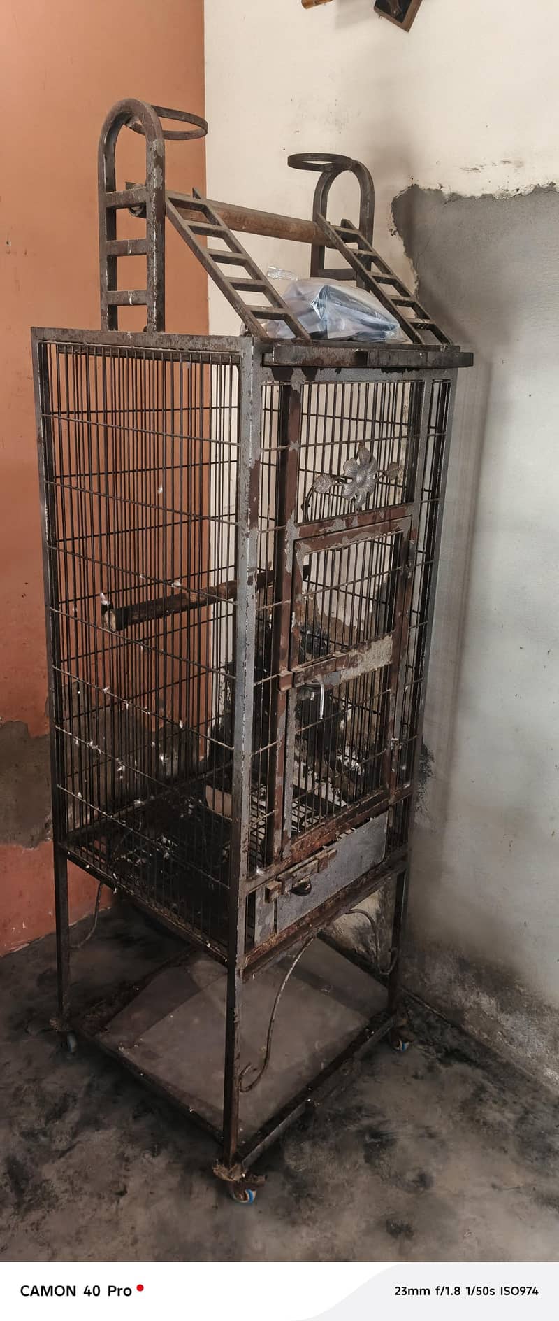 gray parrot cage 1