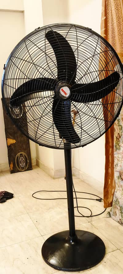Royal fan